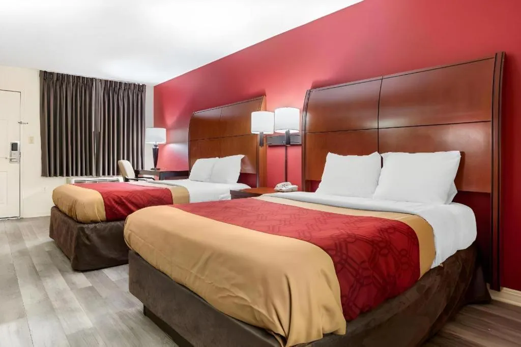 Bed in Econo Lodge Pearl - Jackson