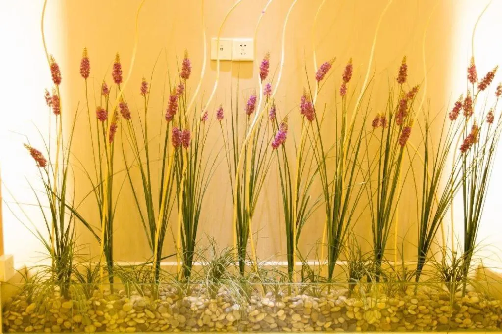 Lavande Hotels·Dongguan Nancheng