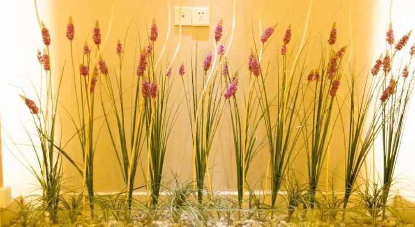 Lavande Hotels·Dongguan Nancheng