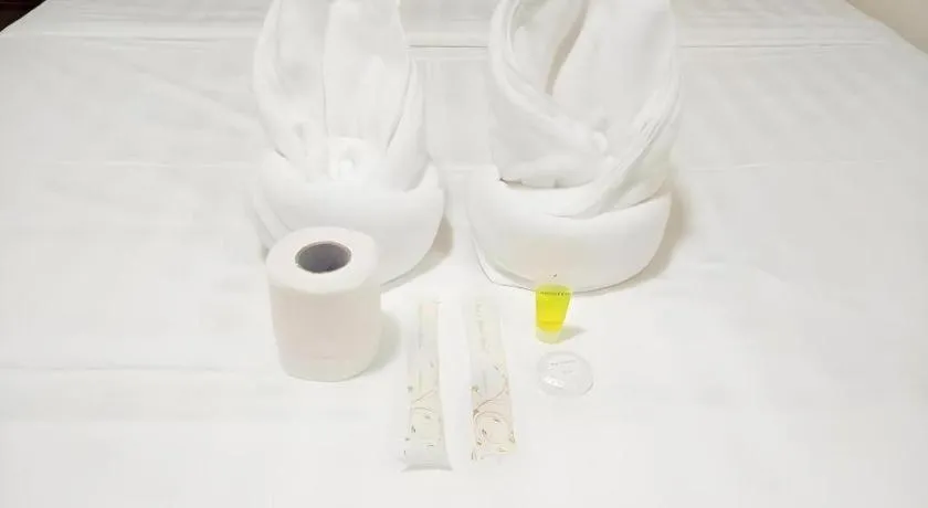 Meaco Royal Hotel- ILagan