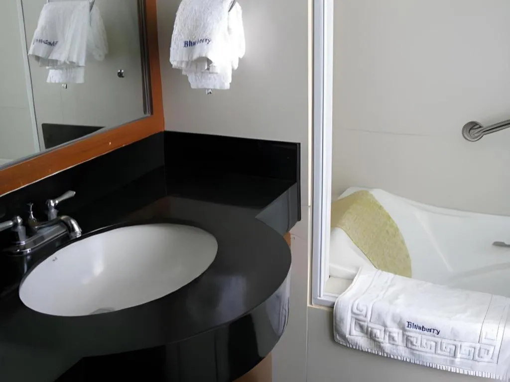 Blueberry Tourist Hotel