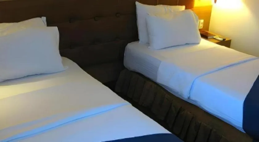 Bed in Blueberry Tourist Hotel