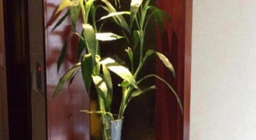 Jinrong International Hotel