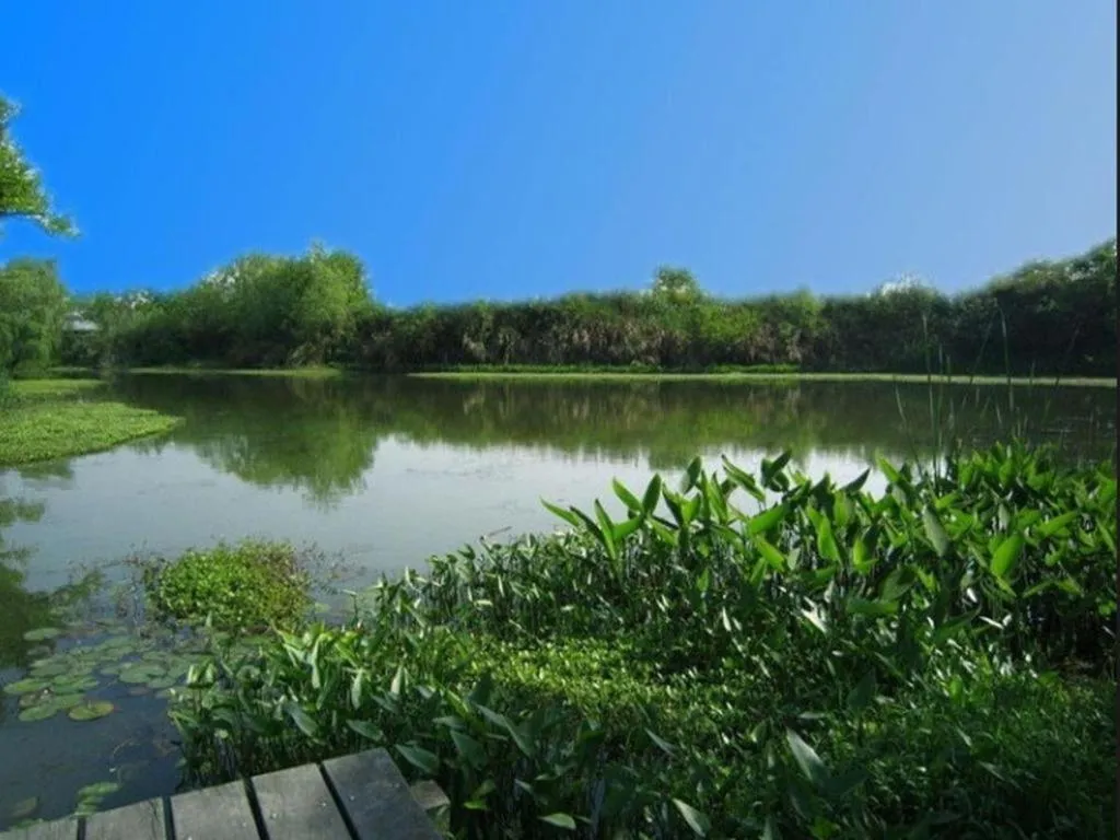 Country Garden Phoenix Hotel Anqing