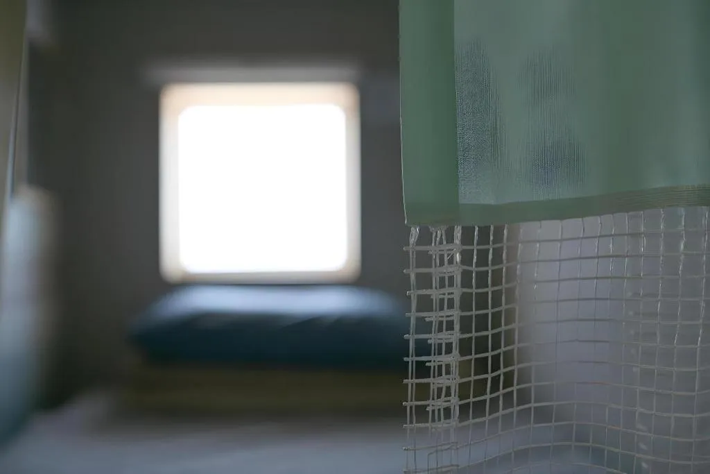 Bed in Capsule Inn Gangneung