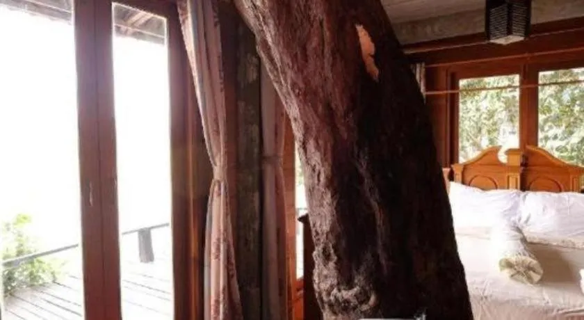 P&P Coffee & Resort Maesariang