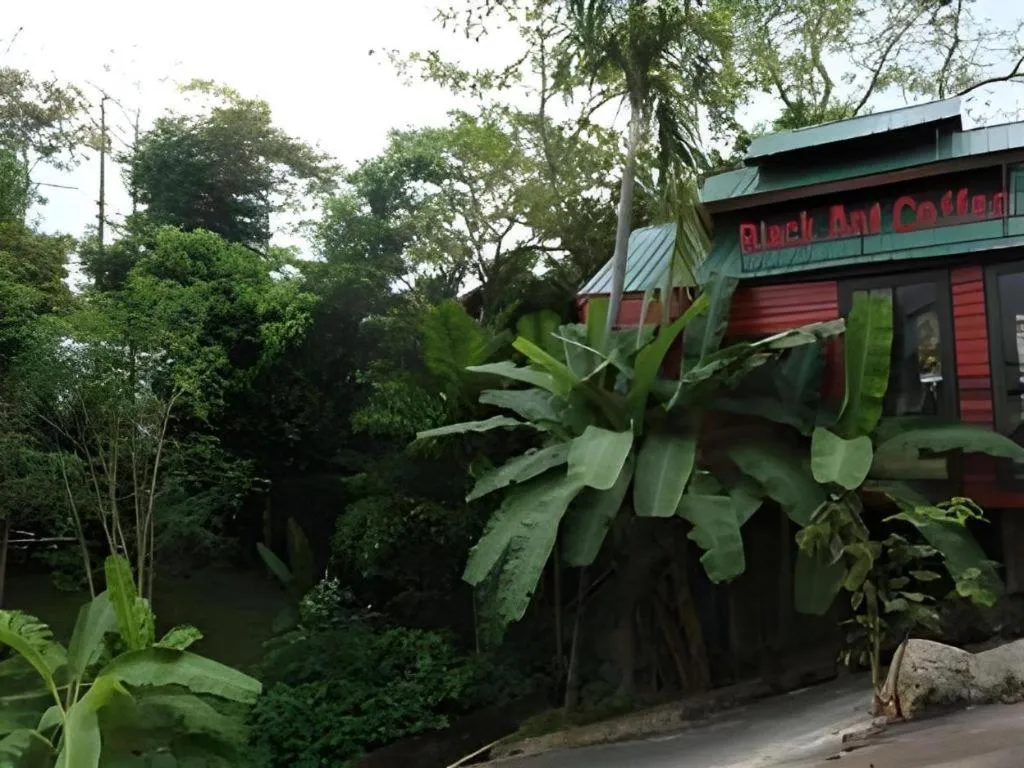 P&P Coffee & Resort Maesariang