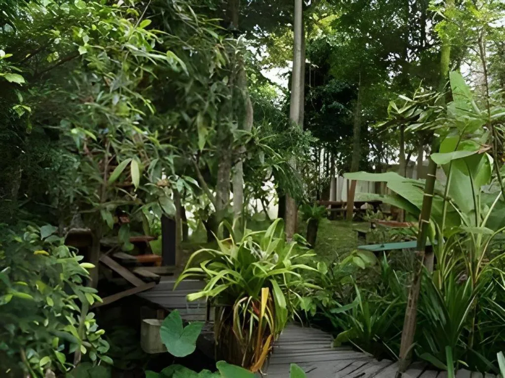 P&P Coffee & Resort Maesariang