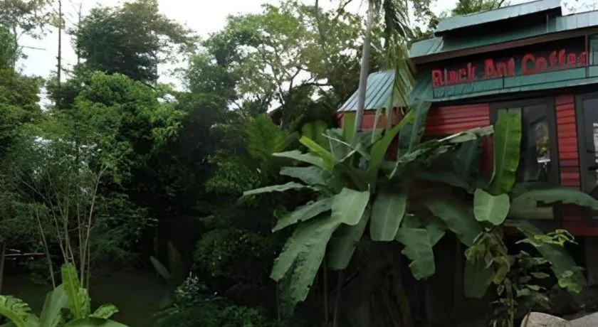 P&P Coffee & Resort Maesariang