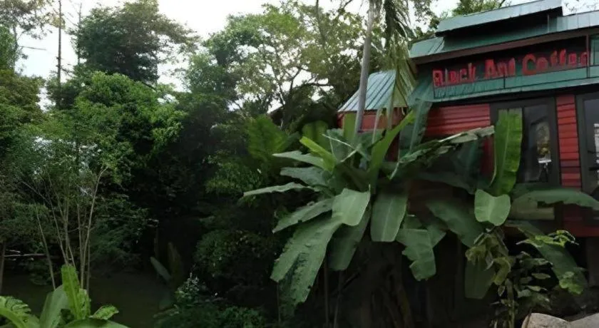 P&P Coffee & Resort Maesariang