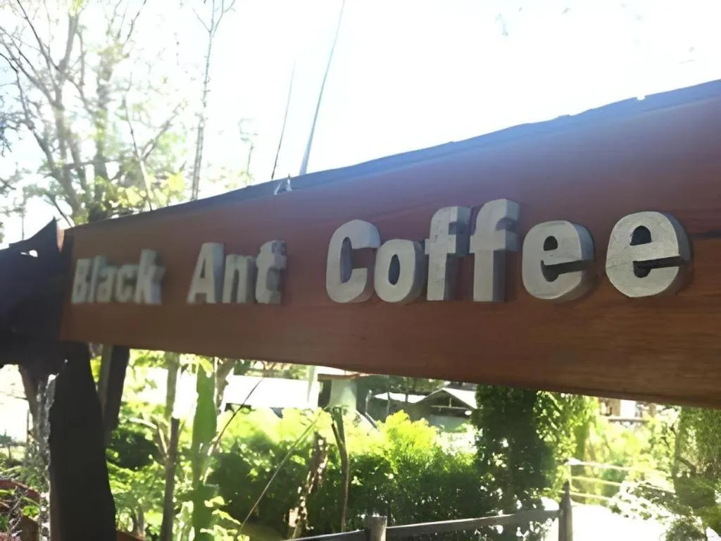 P&P Coffee & Resort Maesariang