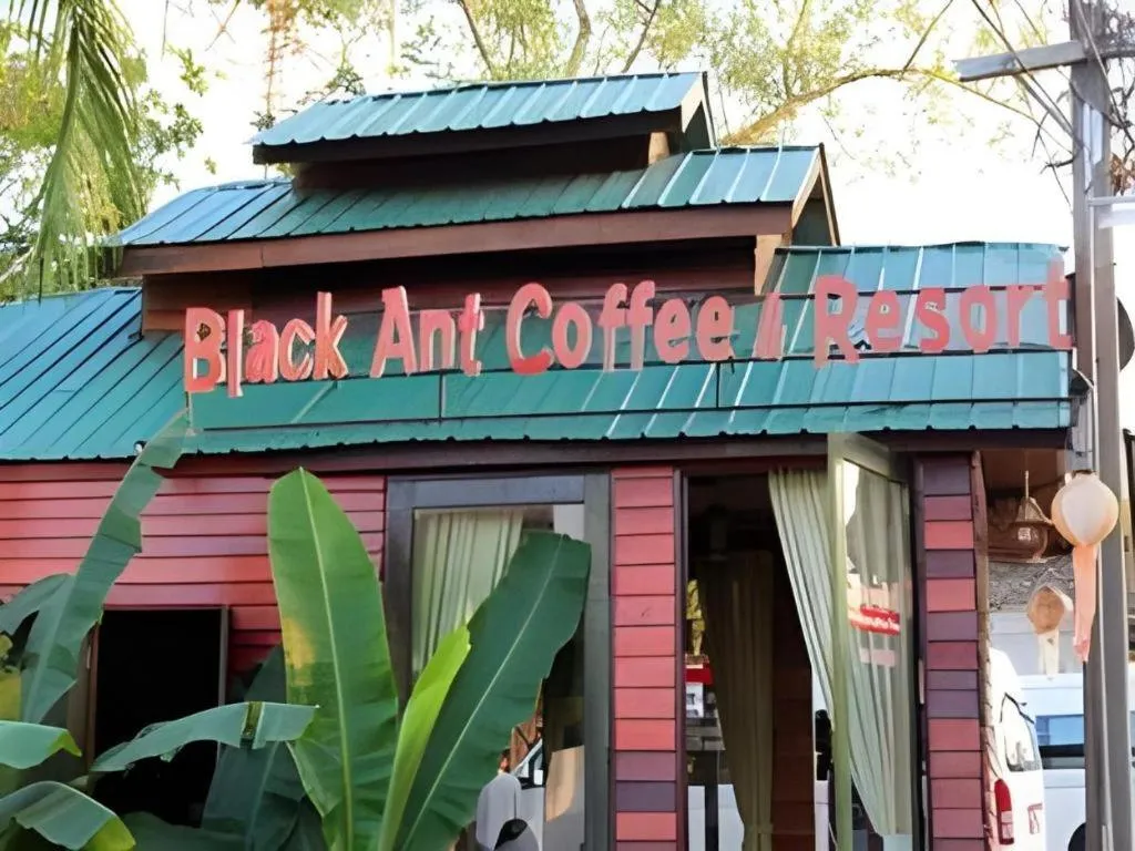 P&P Coffee & Resort Maesariang