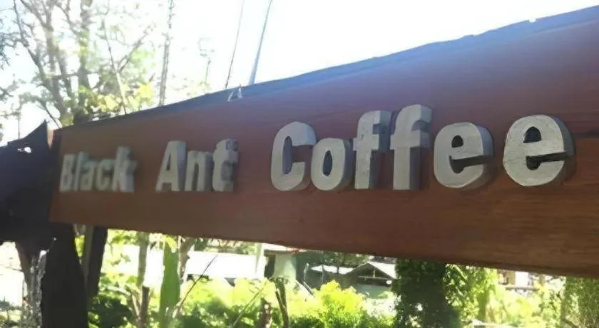 P&P Coffee & Resort Maesariang