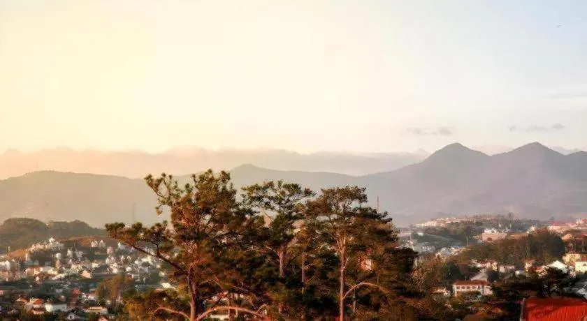 Hoa Sen Vang Hotel Dalat