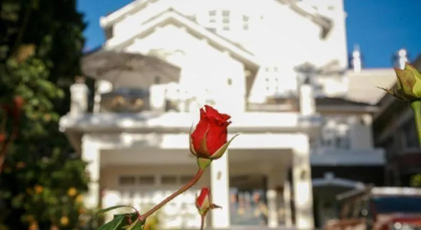 Hoa Sen Vang Hotel Dalat