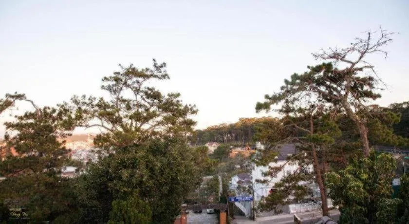Hoa Sen Vang Hotel Dalat