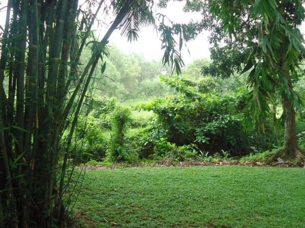 Bridge Hotel Negombo