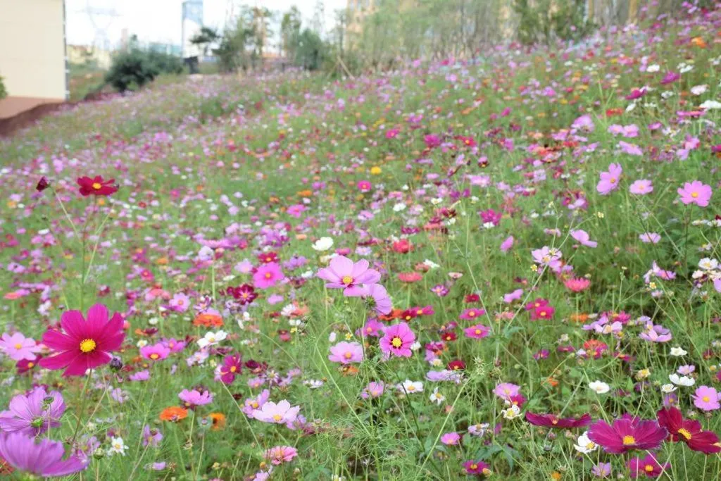 PARK INN KUNMING AIRPORT