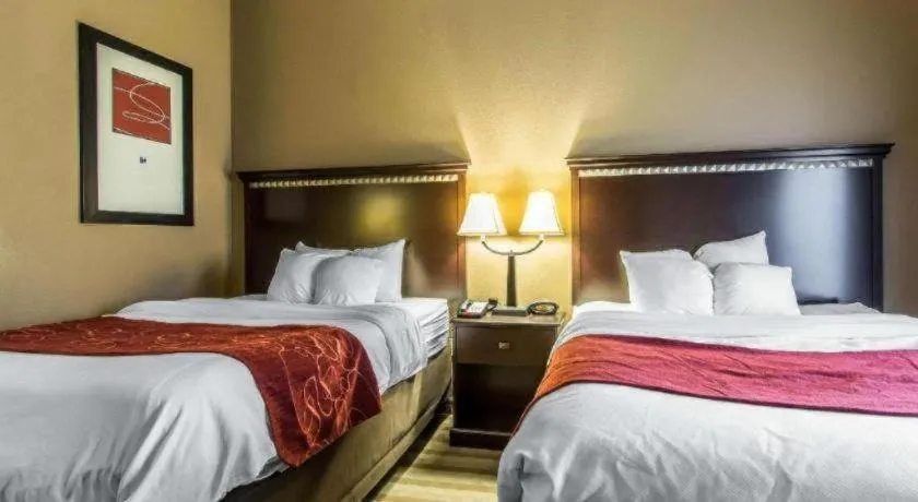 Bed in Comfort Suites