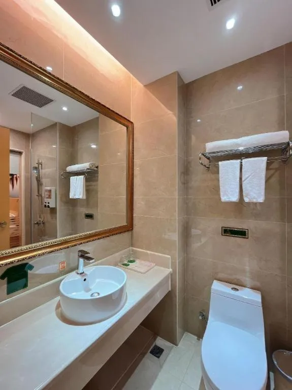 Vienna Hotel Shenzhen Longgang Dayun Center Branch