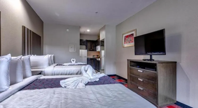 Bed in Americas Best Value Inn and Suites IAH Airport North