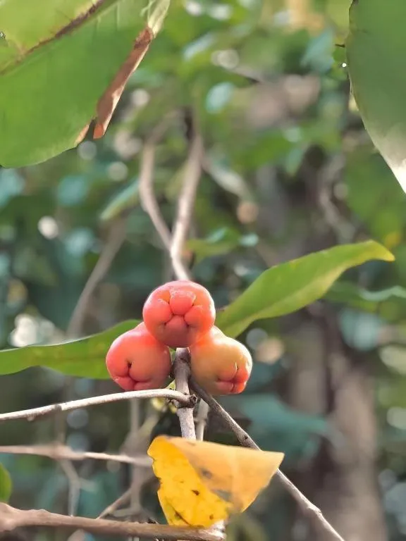 Huern Che Ta One Hotel