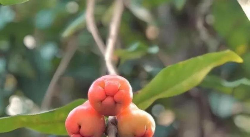 Huern Che Ta One Hotel