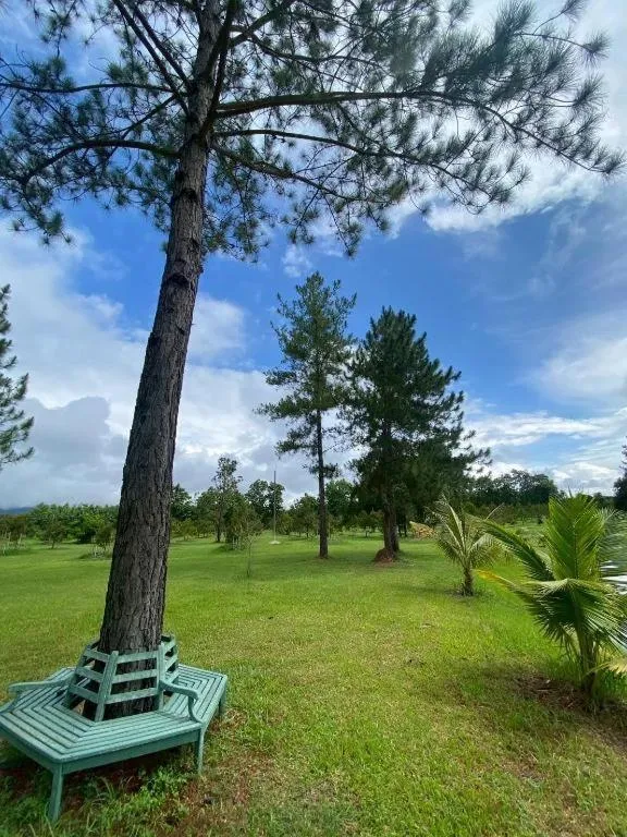 Chiangkham Luang Resort