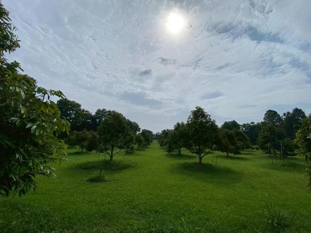 Chiangkham Luang Resort