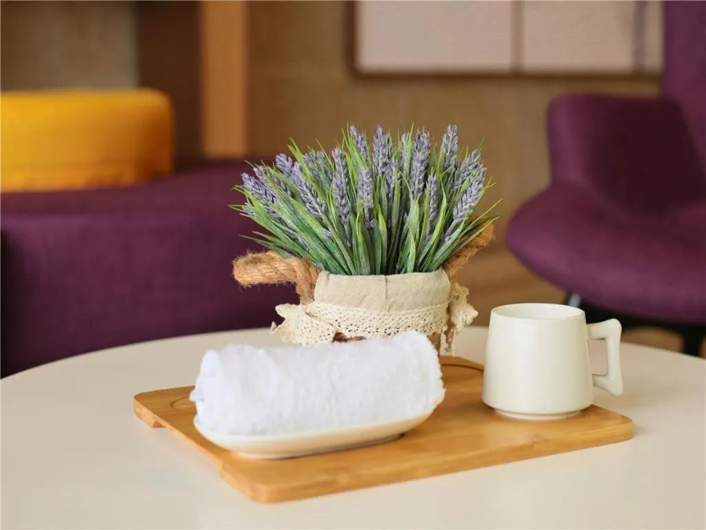 Lavande Hotel·Dongxing Port