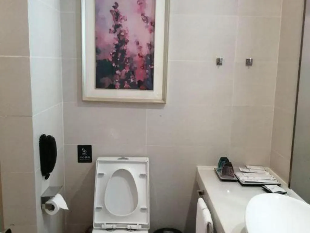 Lavande Hotel·Dongxing Port