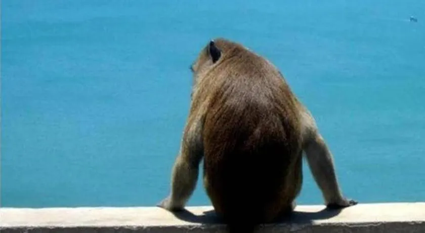 Seascape Resort Baan Krood