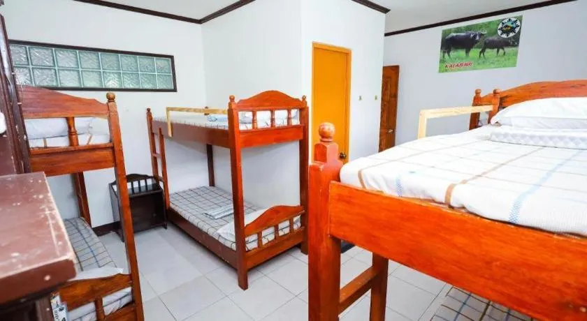 Bed in Mayon Backpackers Hostel