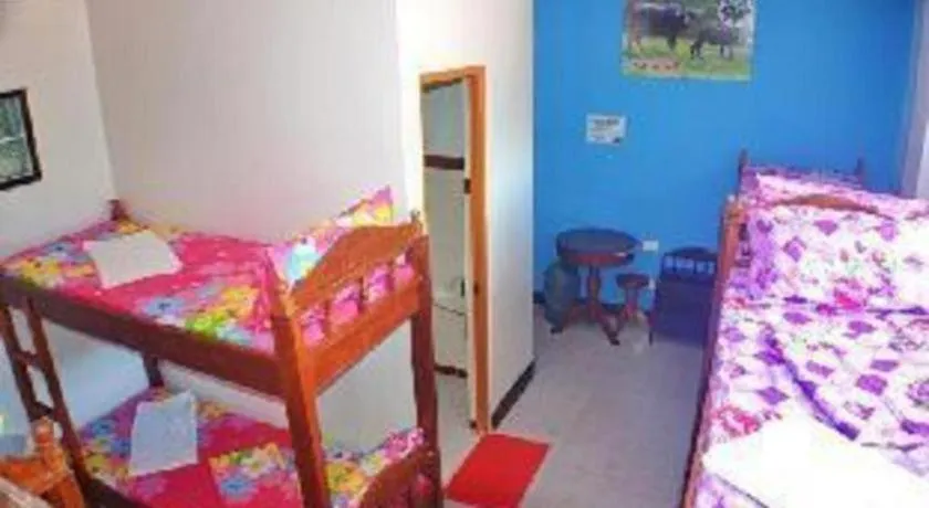 Bed in Mayon Backpackers Hostel