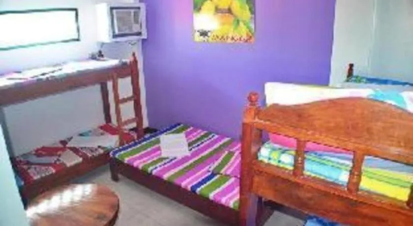 Bed in Mayon Backpackers Hostel