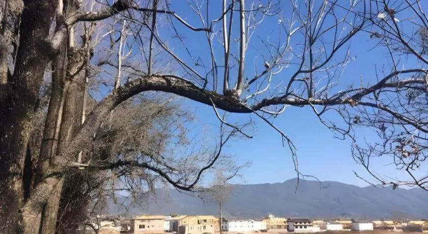 Lijiang Peach Hostel