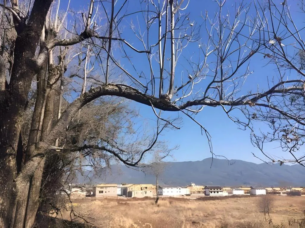 Lijiang Peach Hostel