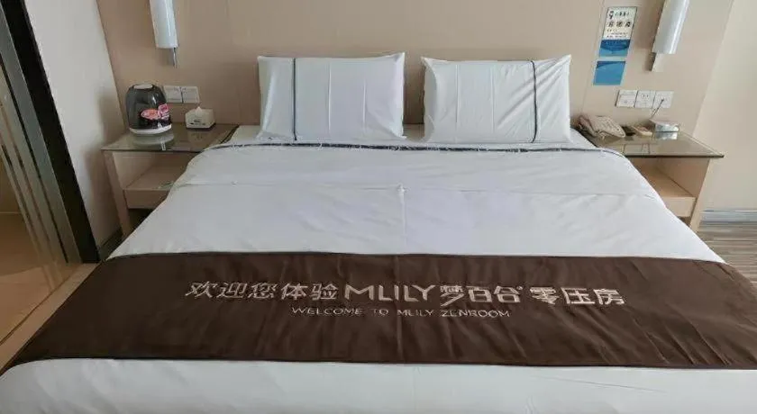 Bed in City Comfort Inn Xianning Xian'an