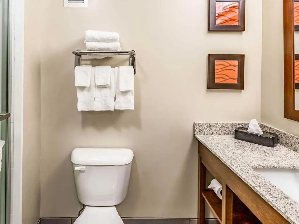 Quality Inn Bessemer I-20 exit 108