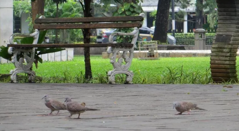 Sofyan Hotel Cut Meutia Family Friendly