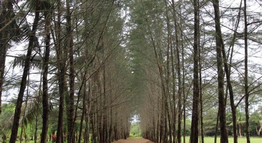 Narita Classic Hotel