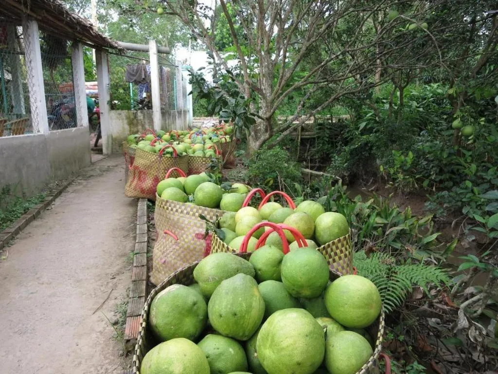 My Hoa Mekong Homestay