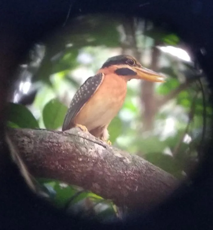 Satwa Elephant Eco Lodge