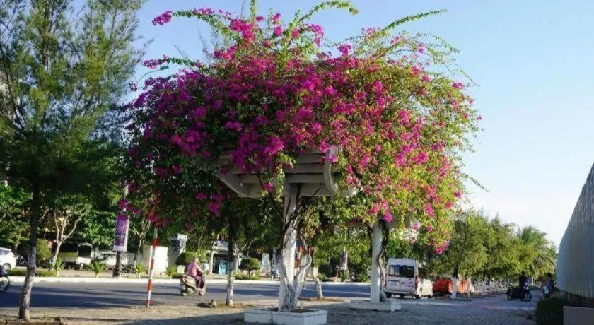 Ocean View Danang Hotel