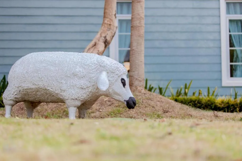 Varee Valley Resort and Restaurant