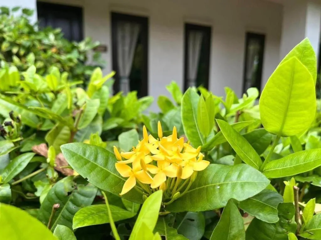 Baan Chuengkao Resort