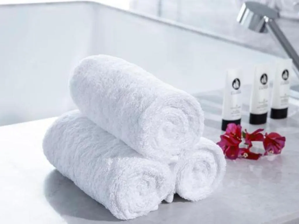 Chongqing The Lotus Hotel