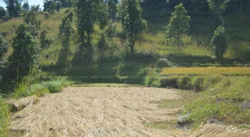 Mystique Highland Resort