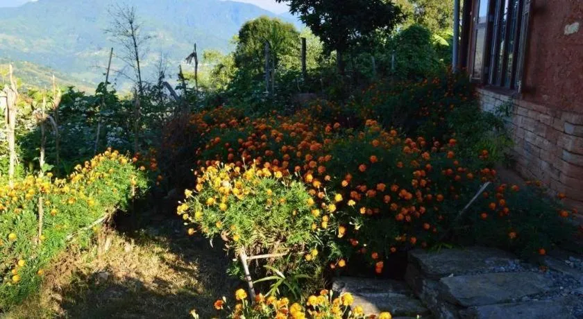 Mystique Highland Resort