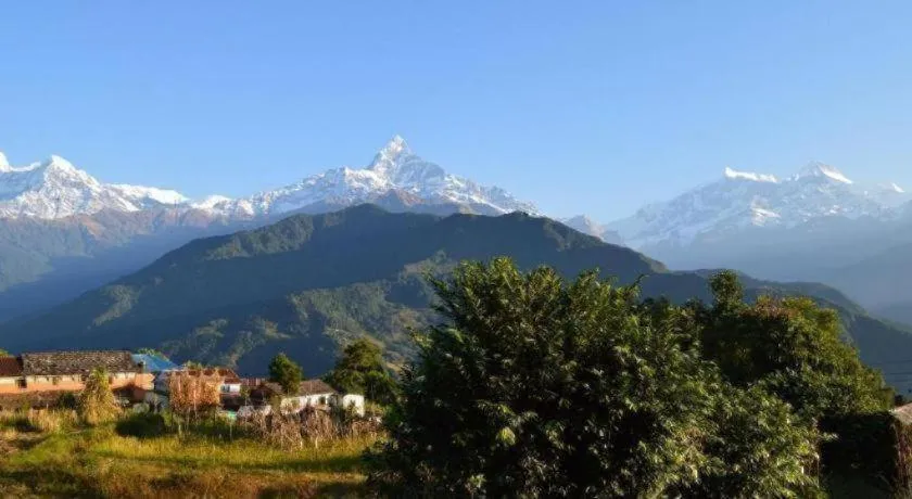 Mystique Highland Resort